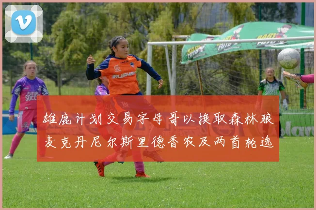 雄鹿计划交易字母哥以换取森林狼麦克丹尼尔斯里德香农及两首轮选秀权
