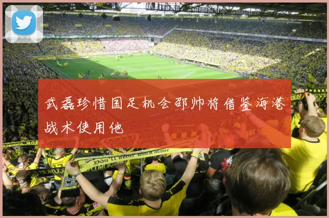 武磊珍惜国足机会邵帅将借鉴海港战术使用他